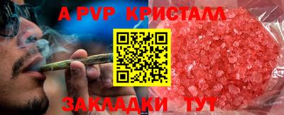стафф Можга