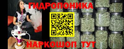 стафф Можга