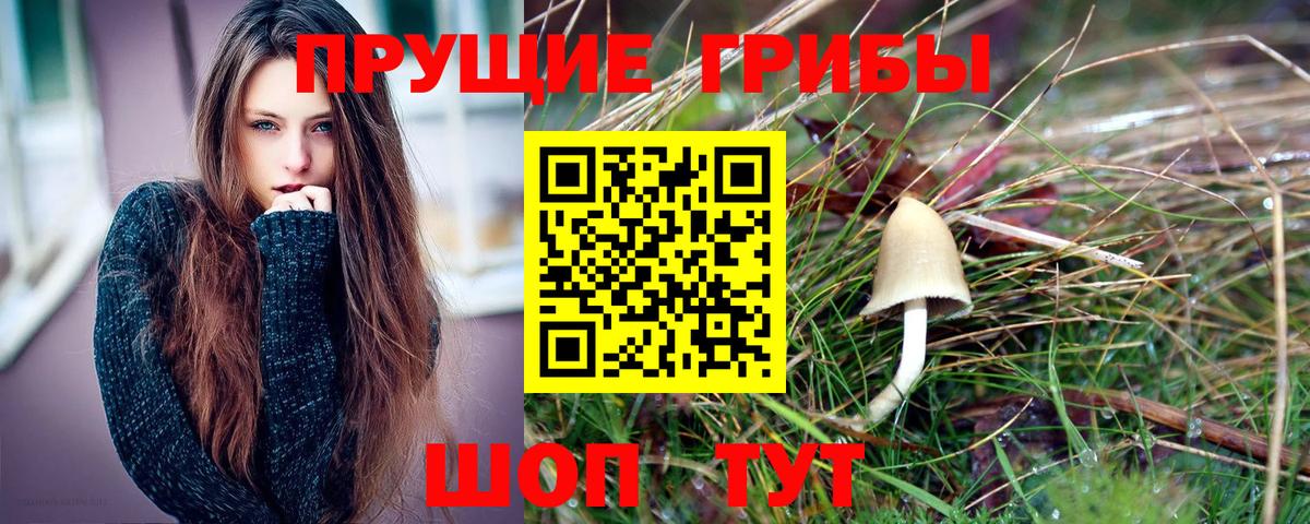 Галлюциногенные грибы Cubensis  Вход с VPN  Шелехов 